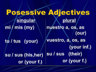 possessive adjectives spanish