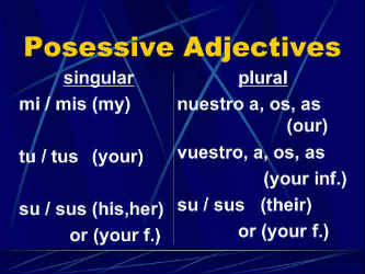 Possessive Adjectives Spanish Chart